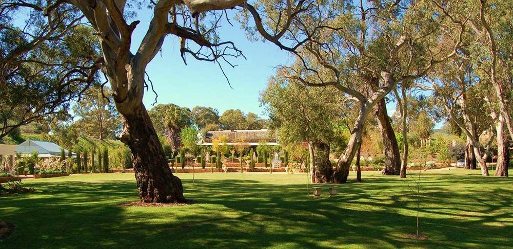 Jacobs Creek Retreat - Barossa Valley Tanunda Exteriér fotografie