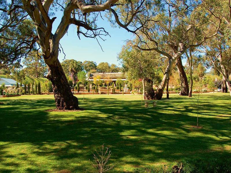 Jacobs Creek Retreat - Barossa Valley Tanunda Exteriér fotografie